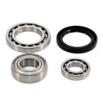 EPIBK138 | Jackshaft Bearing and Seal Kits