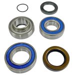 EPIBK139 | Jackshaft Bearing and Seal Kits