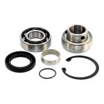 EPIBK144 | Chain Case Bearing and Seal kit