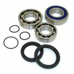 EPIBK146 | Chain Case Bearing and Seal kit