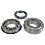 EPIBK152 | Chain Case Bearing and Seal kit