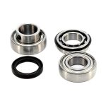 EPIBK153 | Chain Case Bearing and Seal kit