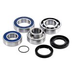 EPIBK155 | Chain Case Bearing and Seal kit
