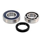 EPIBK156 | Chain Case Bearing and Seal kit