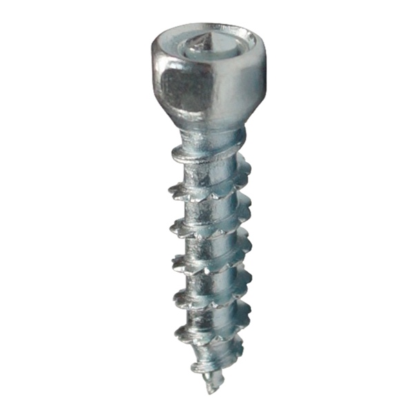 463655 463656 | Boss Screw Length 30mm Unit 500 - Image 1