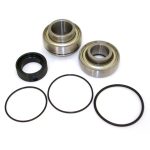 EPIBK106 | Driveshaft Bearing and Seal Kit