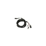 019-12823 | Static Timing Light Harness