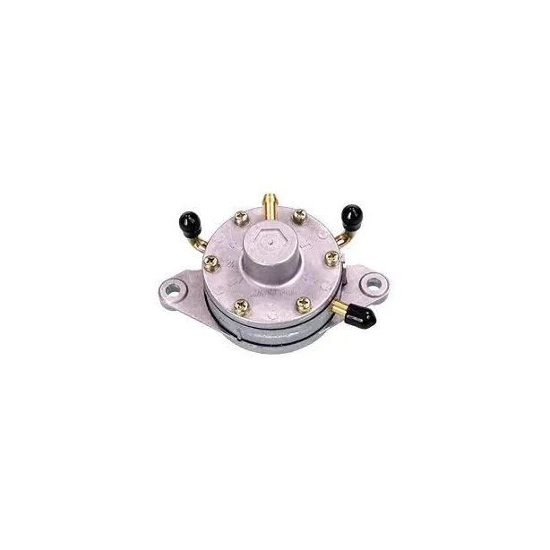 sftp_m_i_mimik02-228_mikuni_df52-73_pump.jpg 07-189 | Duel Fuel Pump - Image 1